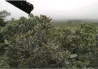 这才是真相：绿色关爱，UG环球的环境政策
